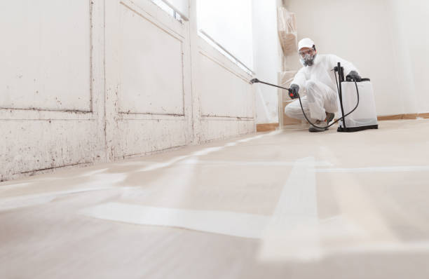 24/7 Emergency Mold Inspection And Testing experts in Denton, NC