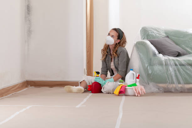 Reliable Mold Inspection And Testing contractor in Denton, NC by Car Mold Remediation