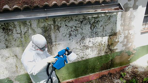 Top rated local Mold Inspection And Testing specialists in Denton, NC